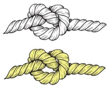knoop